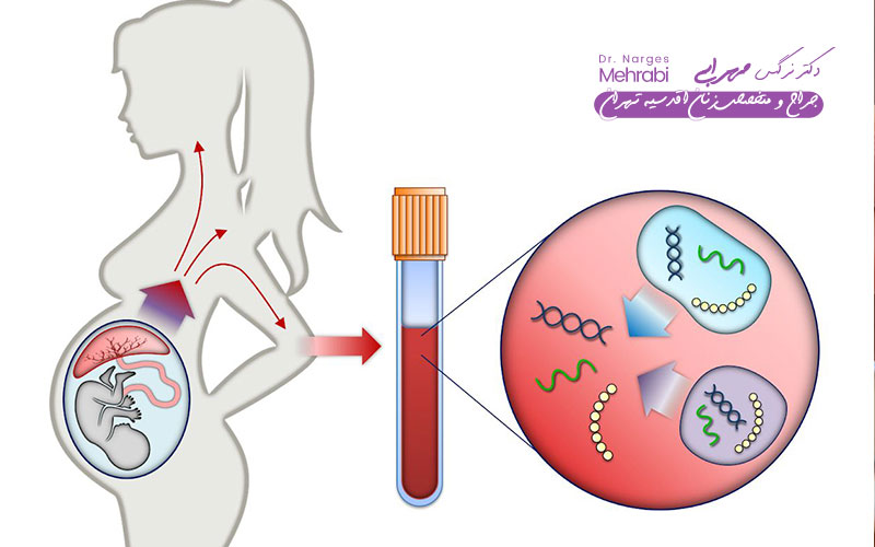 تشخیص جنسیت جنین 6 تست NIPT (Non Invasive Prenatal Testing)